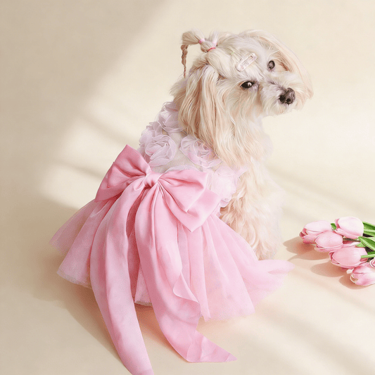 Pink Rose Pet Dress Soft Summer Style - Doglicious Bakery Bites