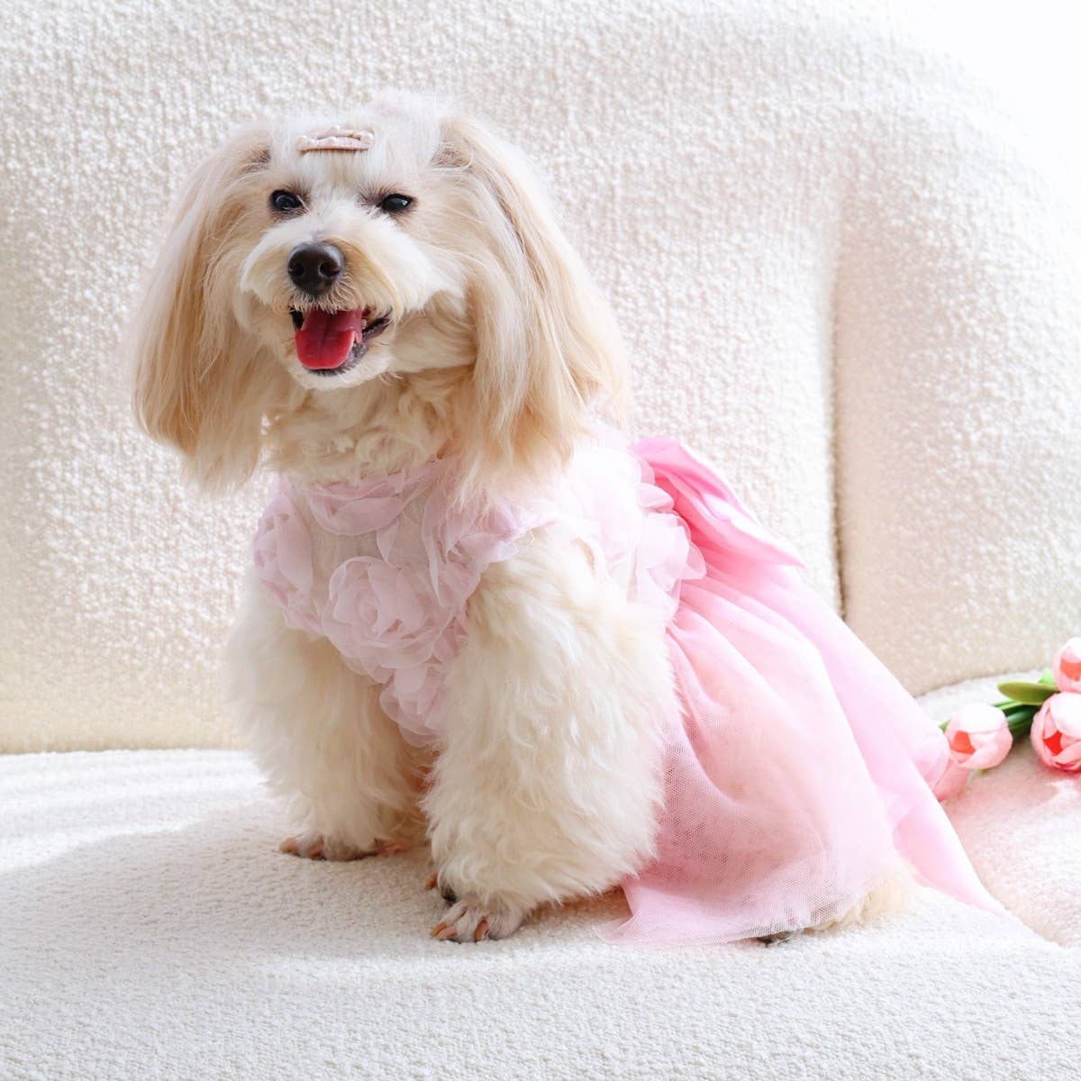 Pink Rose Pet Dress Soft Summer Style - Doglicious Bakery Bites
