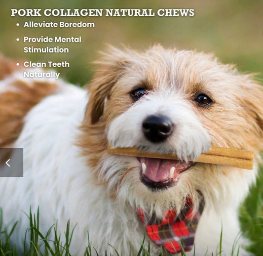 Pork collagen stick - Doglicious Bakery Bites