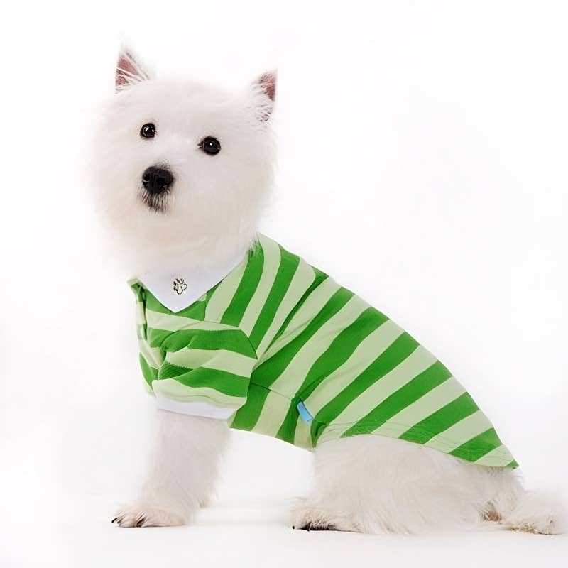 PP Stripe Polo Shirt - Doglicious Bakery Bites