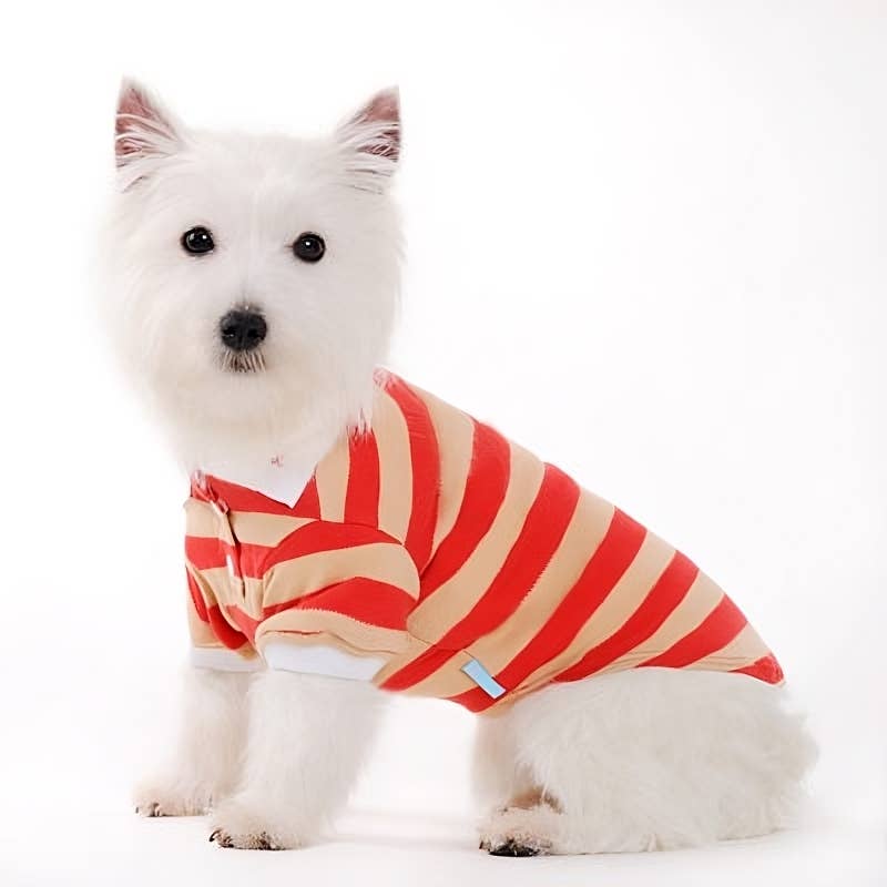 PP Stripe Polo Shirt - Doglicious Bakery Bites