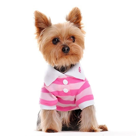 PP Stripe Polo Shirt - Doglicious Bakery Bites