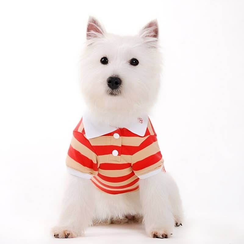 PP Stripe Polo Shirt - Doglicious Bakery Bites
