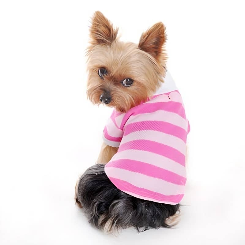 PP Stripe Polo Shirt - Doglicious Bakery Bites