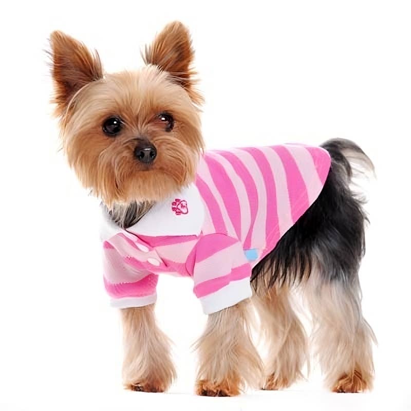 PP Stripe Polo Shirt - Doglicious Bakery Bites