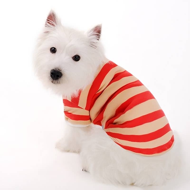 PP Stripe Polo Shirt - Doglicious Bakery Bites