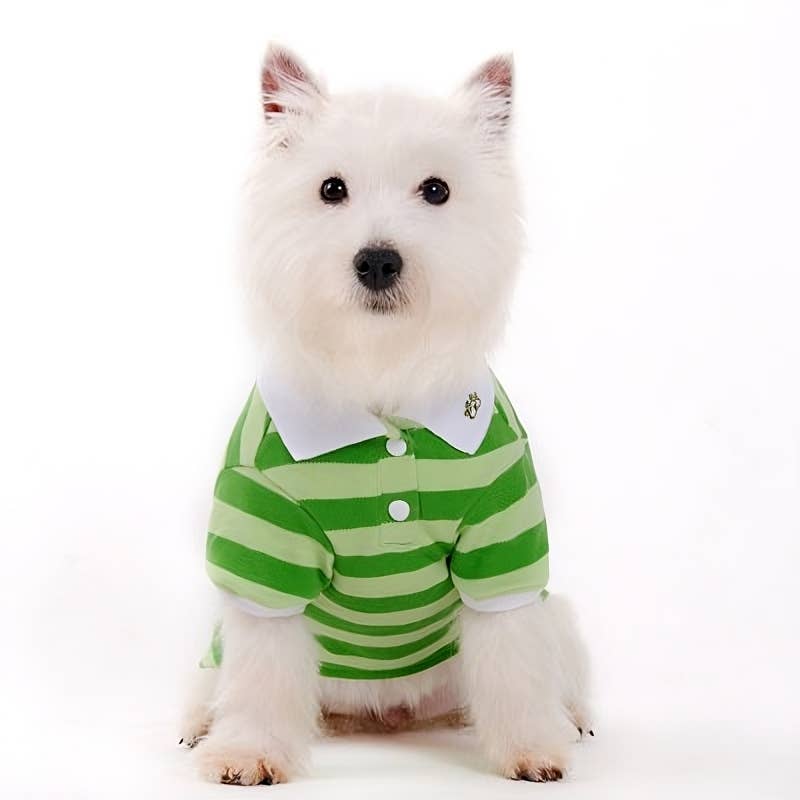 PP Stripe Polo Shirt - Doglicious Bakery Bites