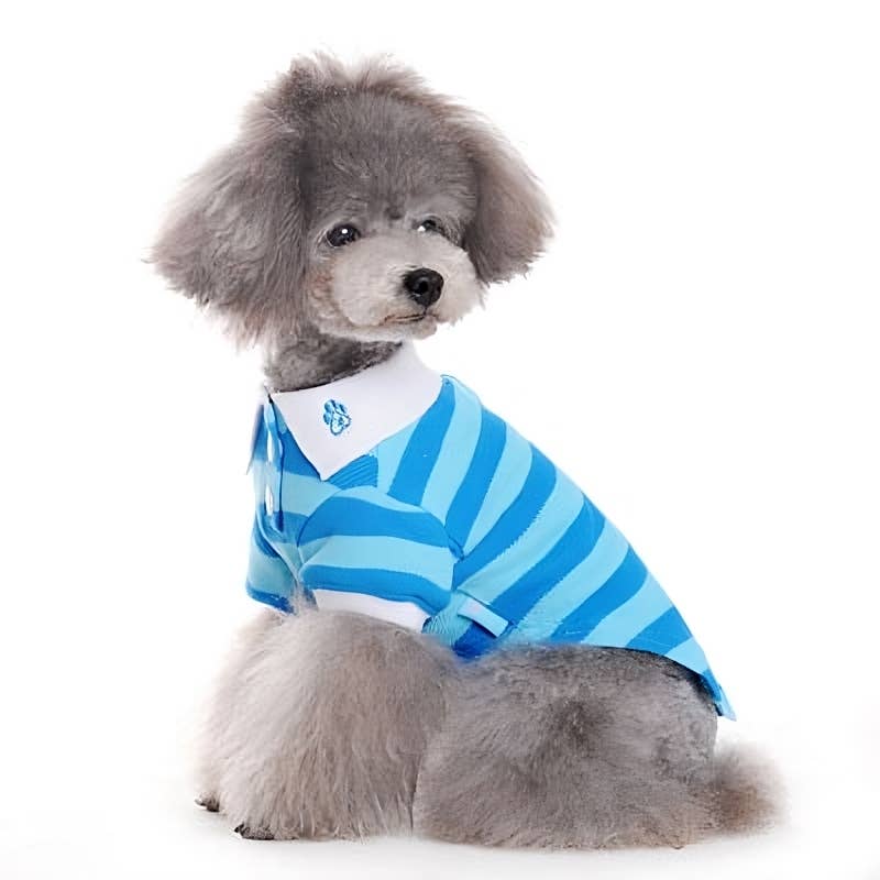 PP Stripe Polo Shirt - Doglicious Bakery Bites