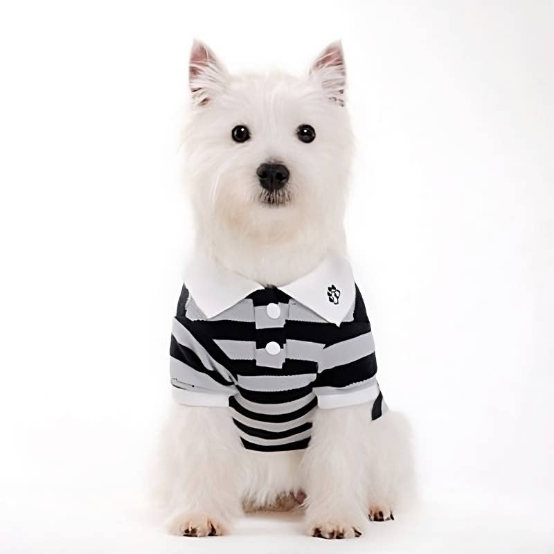 PP Stripe Polo Shirt - Doglicious Bakery Bites