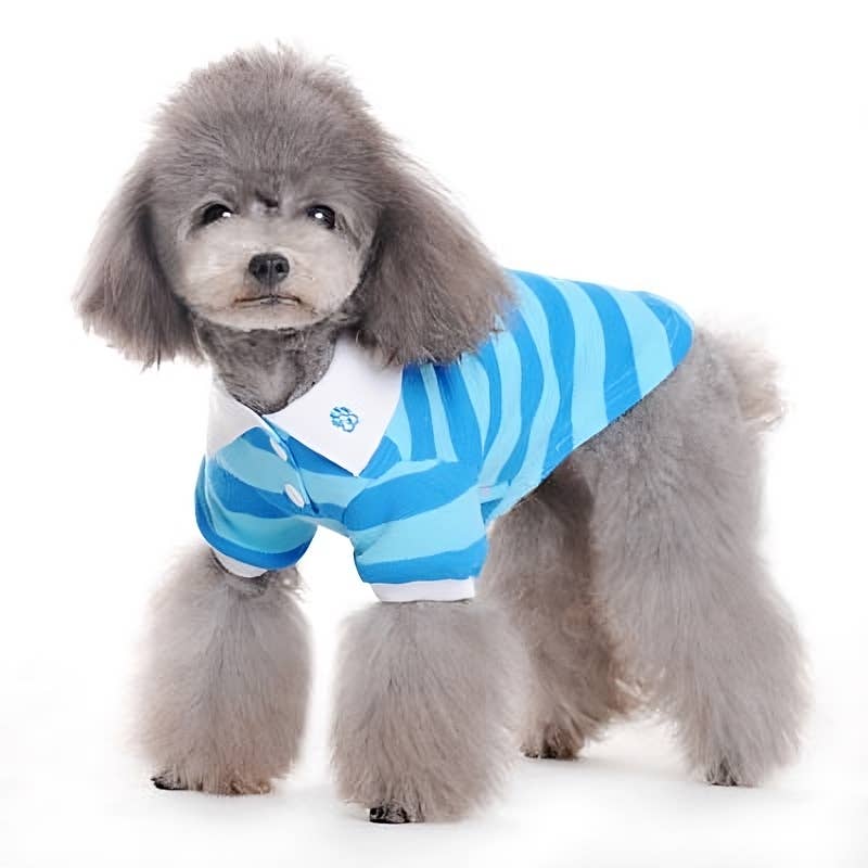 PP Stripe Polo Shirt - Doglicious Bakery Bites
