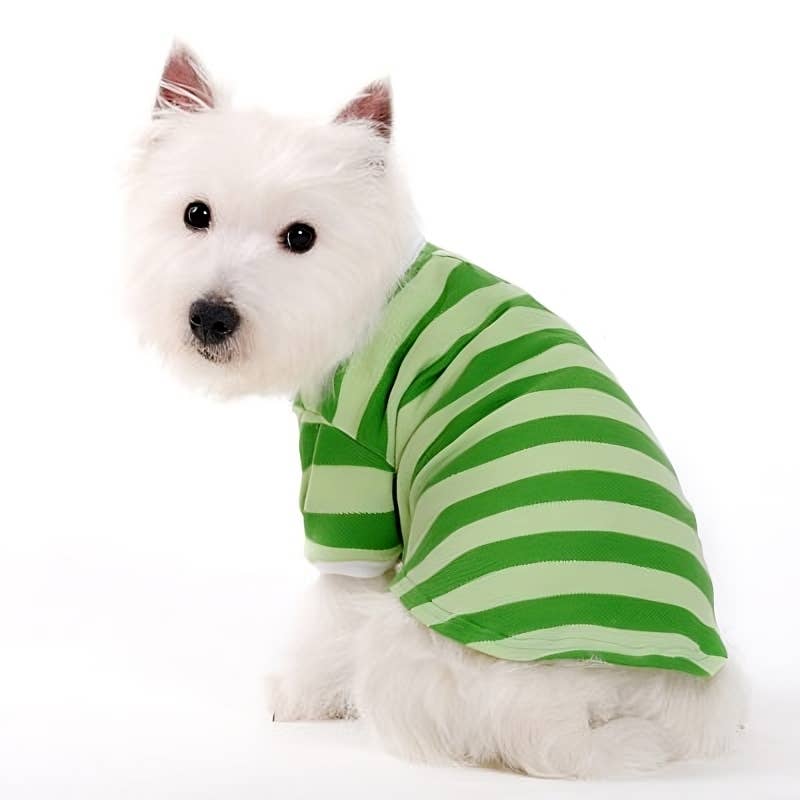 PP Stripe Polo Shirt - Doglicious Bakery Bites
