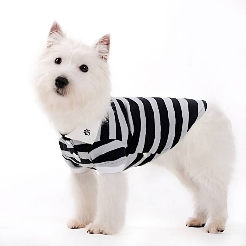 PP Stripe Polo Shirt - Doglicious Bakery Bites
