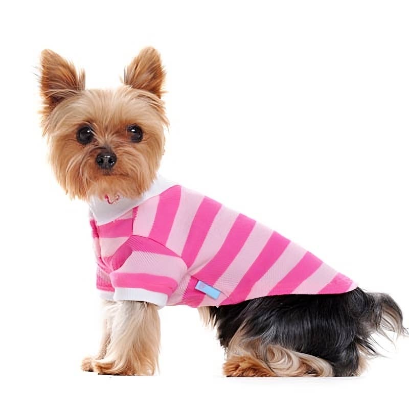 PP Stripe Polo Shirt - Doglicious Bakery Bites