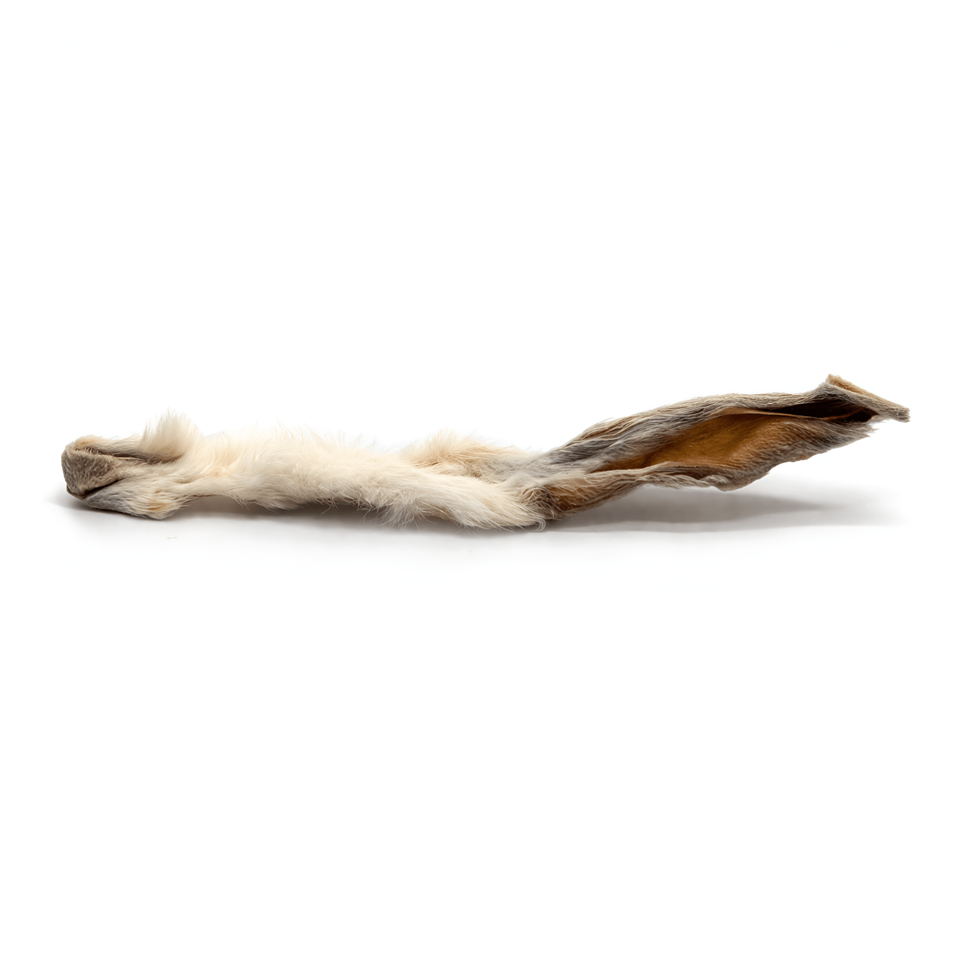 Rabbit Ears with Fur Dog Chews - Doglicious Bakery Bites