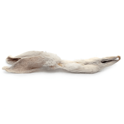 Rabbit Ears with Fur Dog Chews - Doglicious Bakery Bites