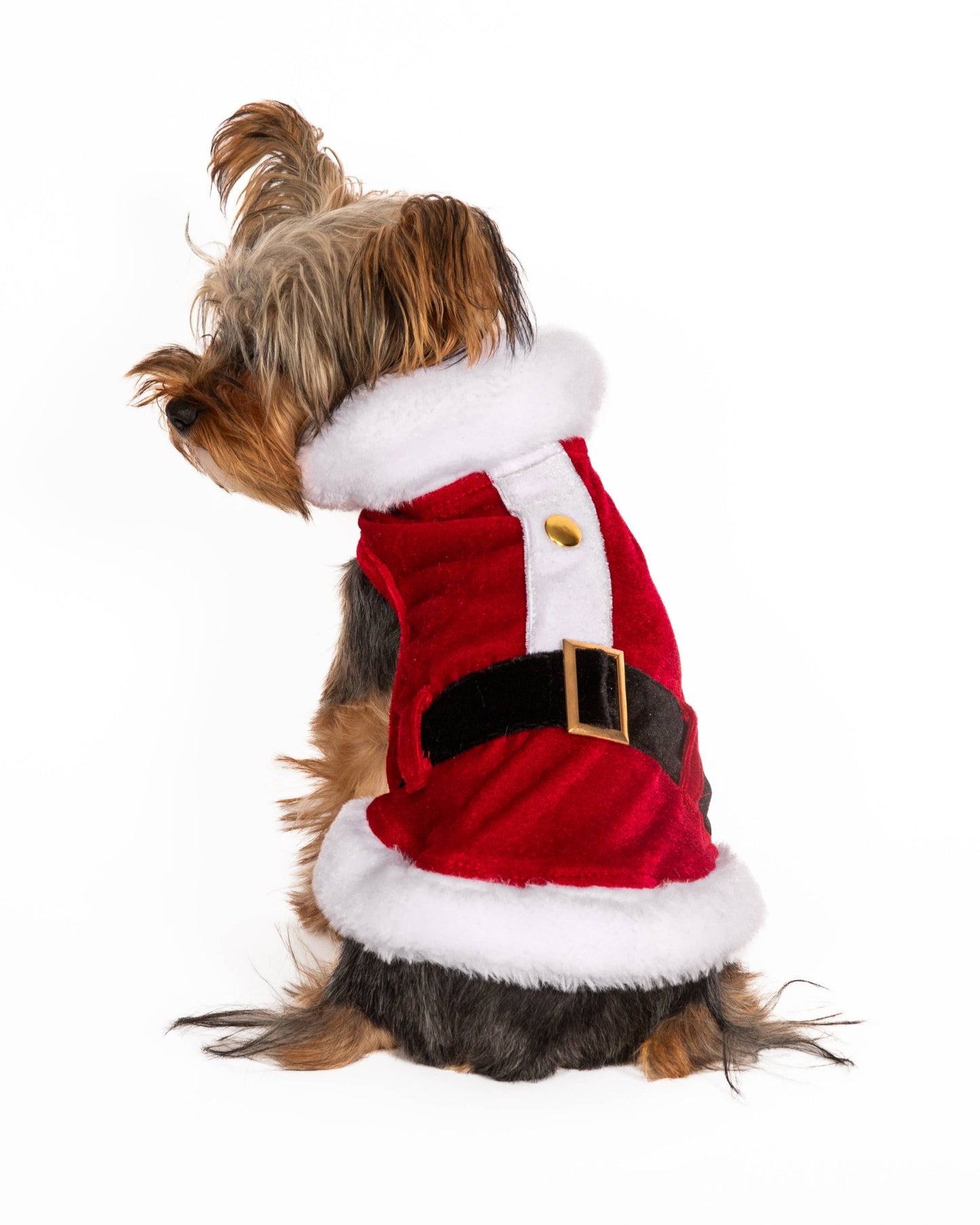 Santa Dog Coat for Christmas - Doglicious Bakery Bites