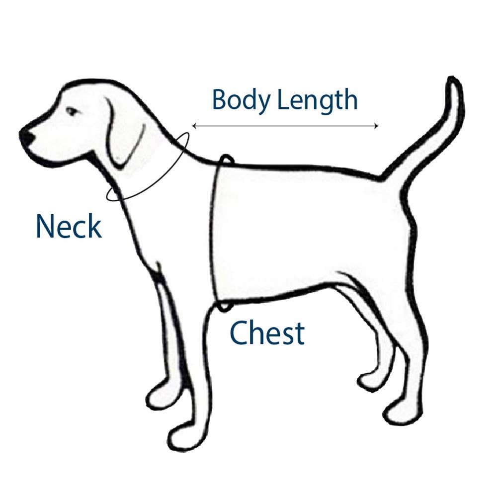 Santa Dog Coat for Christmas - Doglicious Bakery Bites