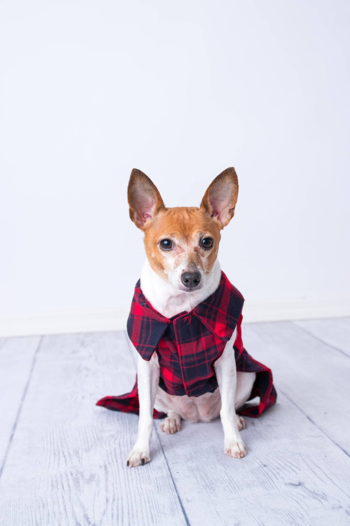 Scottish Pleated Dress Red Blue – Timeless Plaid Pet Apparel - Doglicious Bakery Bites