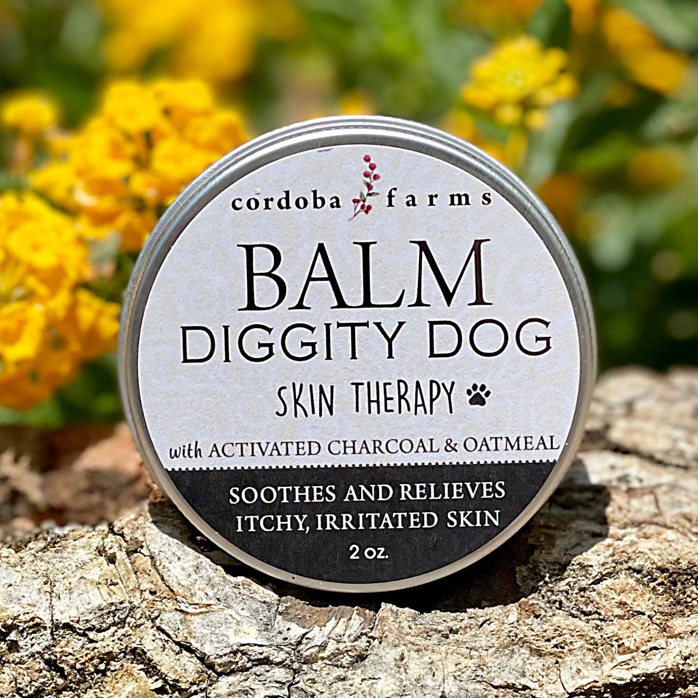 SKIN THERAPY Balm - Doglicious Bakery Bites