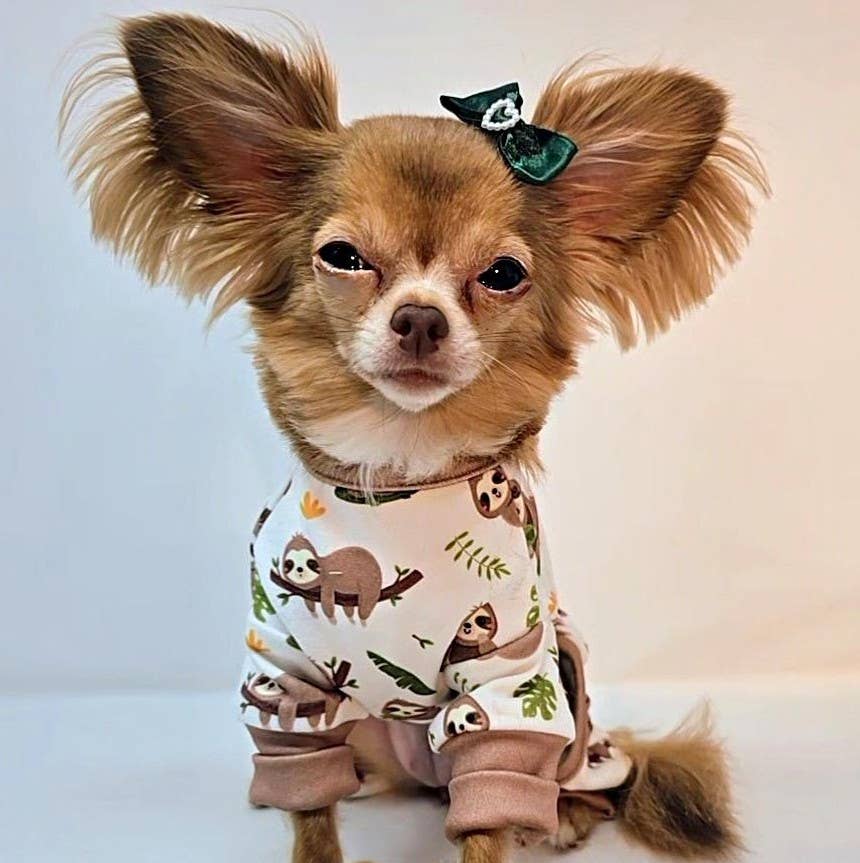Soft Dog Pajamas - Sloths - Doglicious Bakery Bites