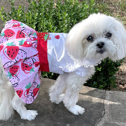 Strawberry Picnic Dog Dress w/ Matching Leash - Doglicious Bakery Bites