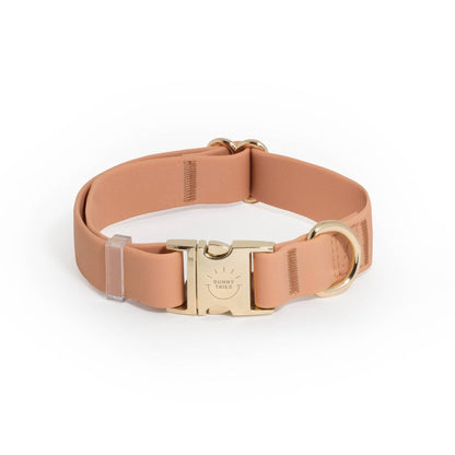 SUNNY TAILS - Chai Brown Waterproof Dog Collar - Doglicious Bakery Bites