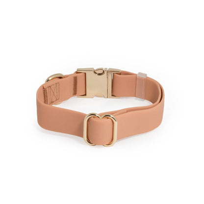 SUNNY TAILS - Chai Brown Waterproof Dog Collar - Doglicious Bakery Bites