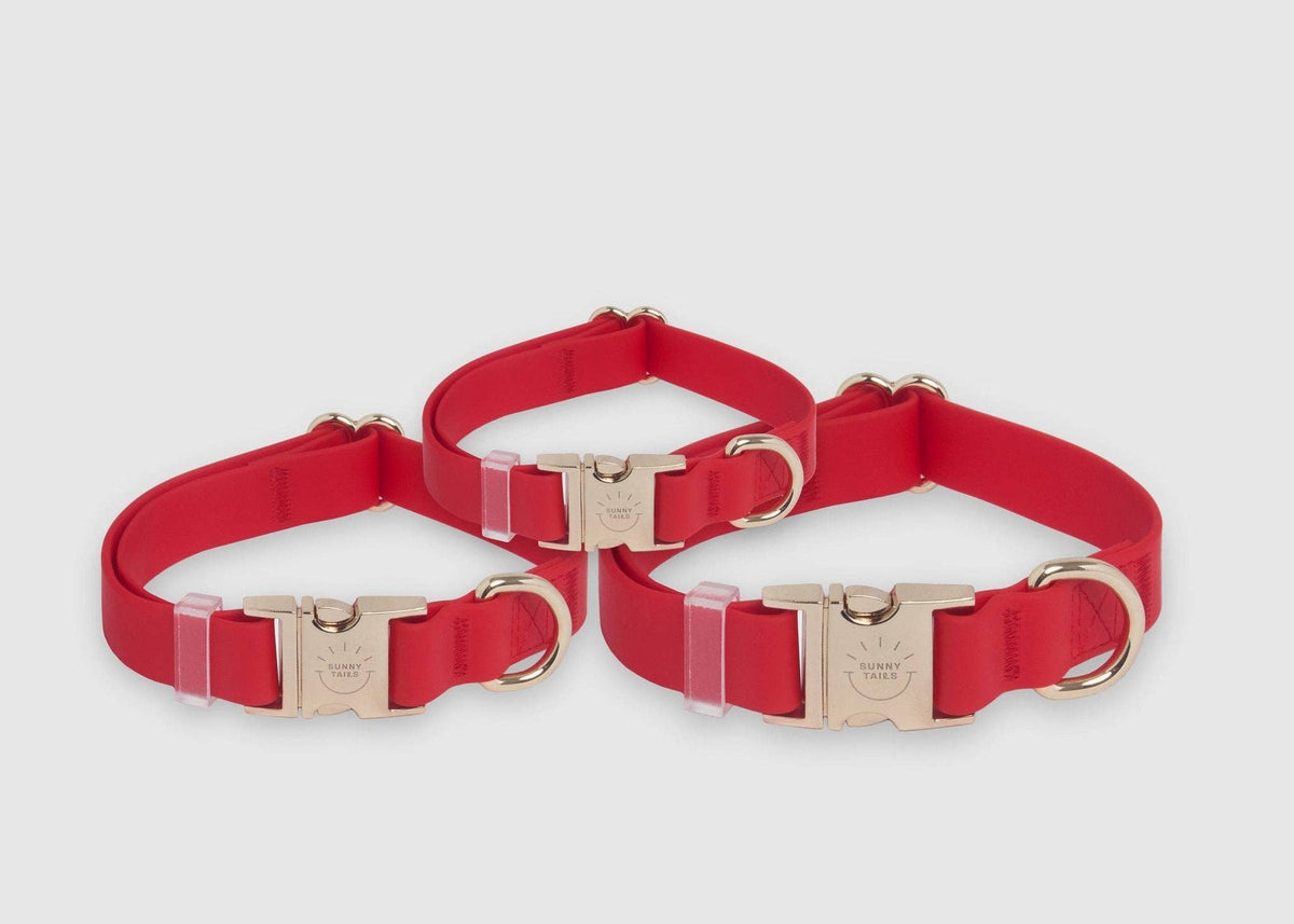 SUNNY TAILS - Cherry Red Waterproof Dog Collar - Doglicious Bakery Bites