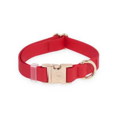 SUNNY TAILS - Cherry Red Waterproof Dog Collar - Doglicious Bakery Bites