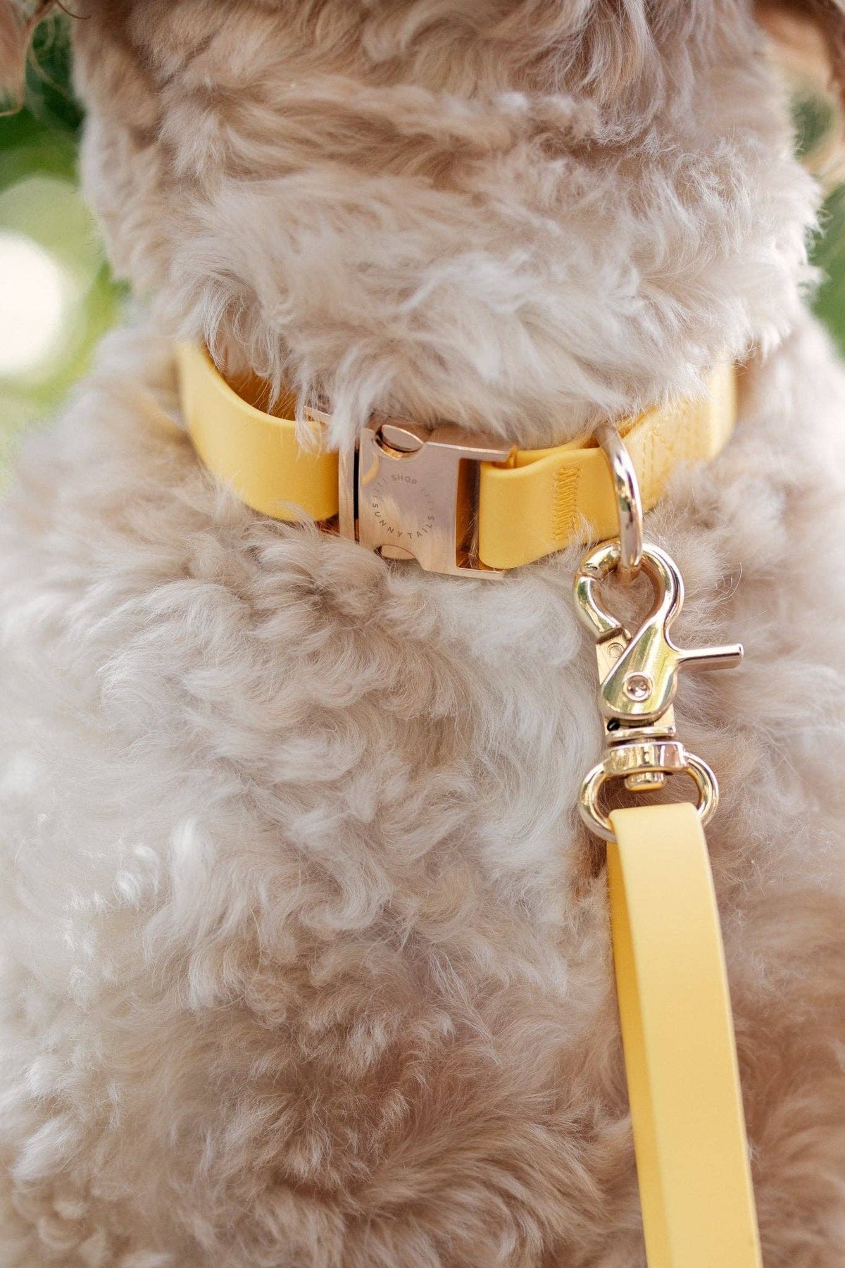 SUNNY TAILS - Dandelion Yellow Waterproof Dog Collar - Doglicious Bakery Bites