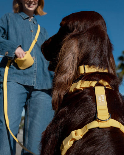 SUNNY TAILS - Dandelion Yellow Waterproof Dog Collar - Doglicious Bakery Bites