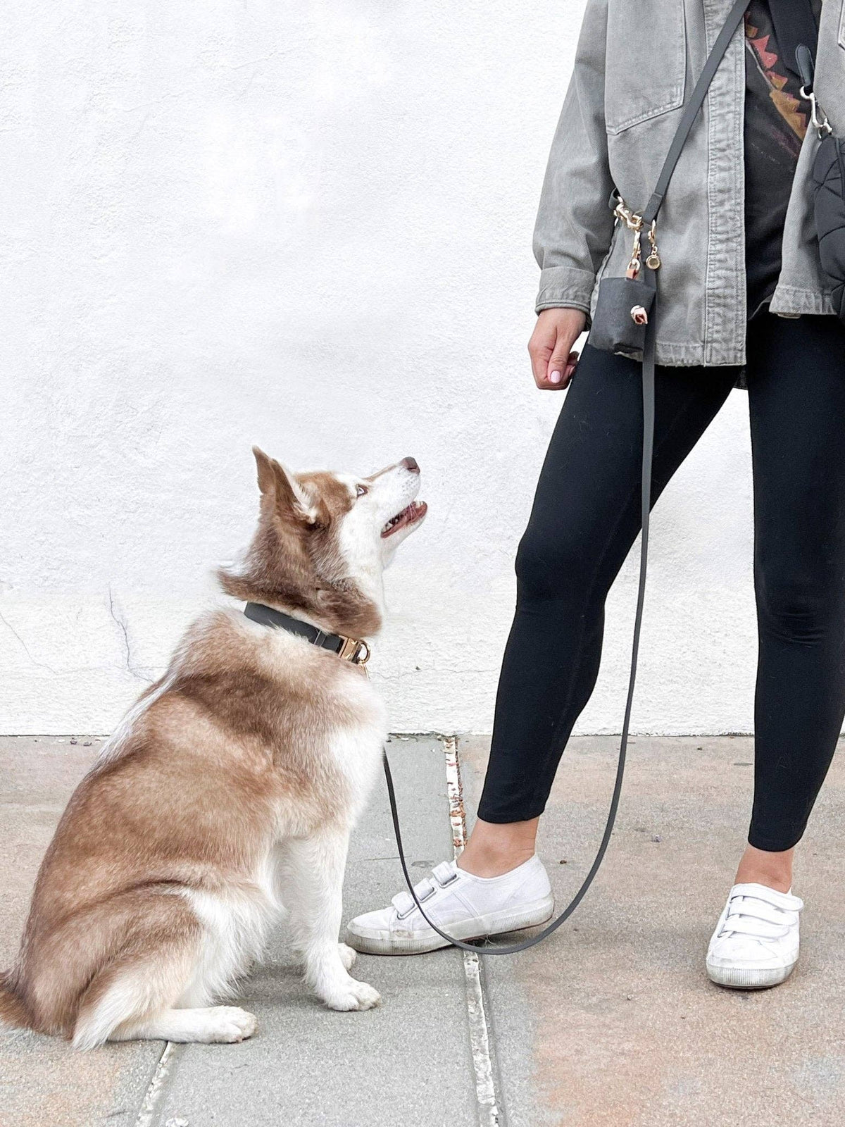 SUNNY TAILS - Ember Black 4-in-1 Convertible Hands Free Cloud Dog Leash - Doglicious Bakery Bites