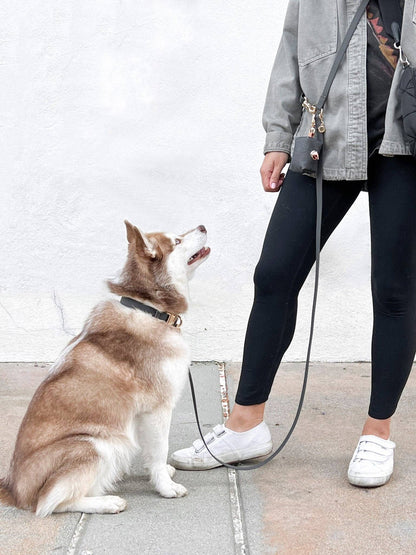 SUNNY TAILS - Ember Black 4-in-1 Convertible Hands Free Cloud Dog Leash - Doglicious Bakery Bites