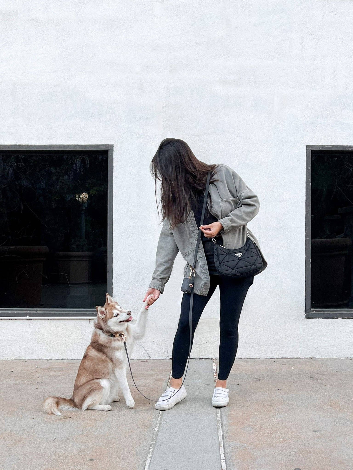SUNNY TAILS - Ember Black 4-in-1 Convertible Hands Free Cloud Dog Leash - Doglicious Bakery Bites