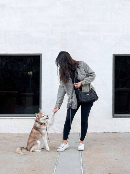 SUNNY TAILS - Ember Black 4-in-1 Convertible Hands Free Cloud Dog Leash - Doglicious Bakery Bites