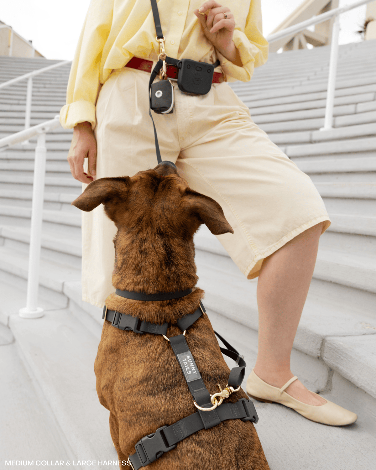 SUNNY TAILS - Ember Black 4-in-1 Convertible Hands Free Cloud Dog Leash - Doglicious Bakery Bites