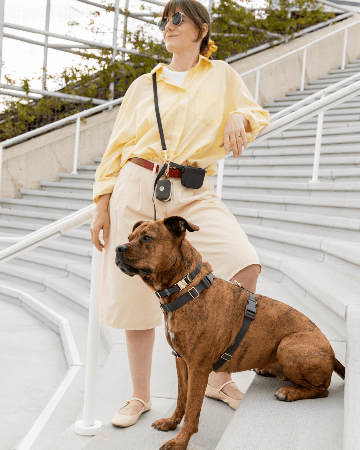 SUNNY TAILS - Ember Black 4-in-1 Convertible Hands Free Cloud Dog Leash - Doglicious Bakery Bites