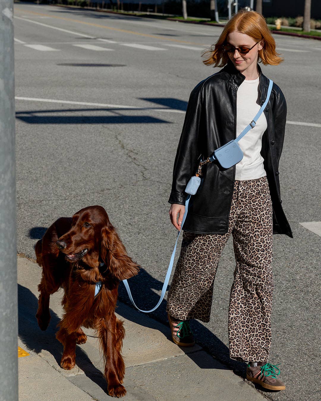 SUNNY TAILS - Malibu Blue 4-in-1 Convertible Hands Free Cloud Dog Leash - Doglicious Bakery Bites