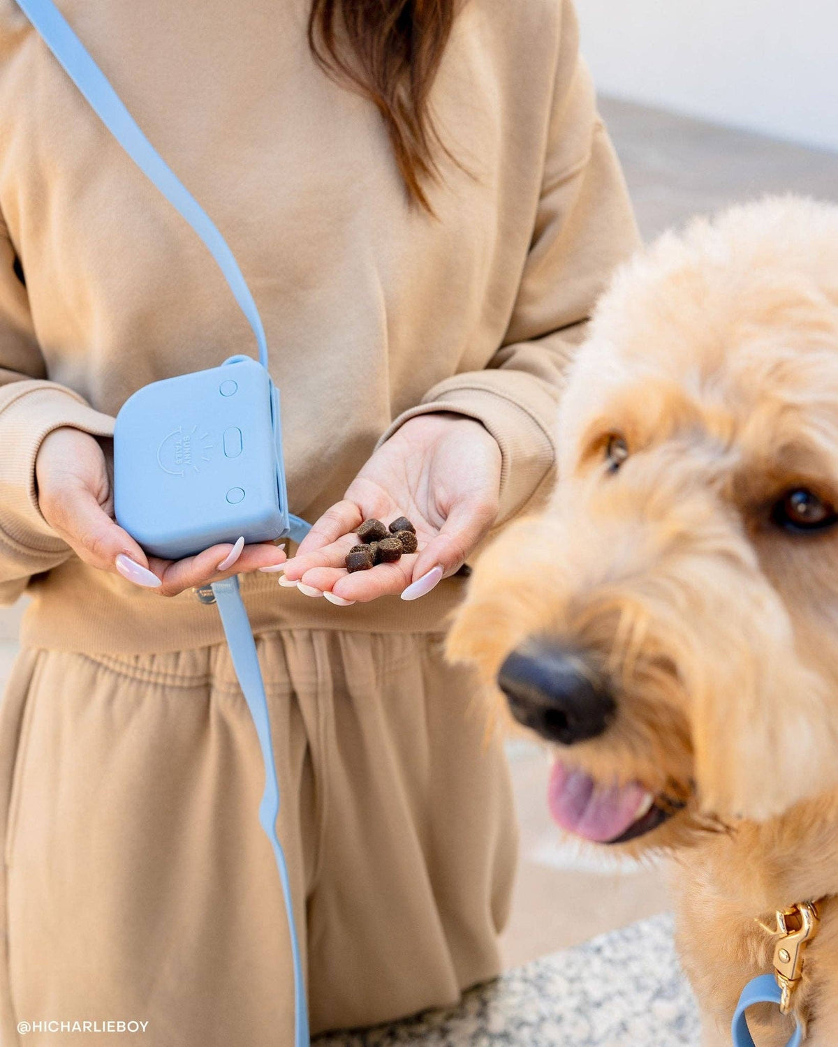 SUNNY TAILS - Malibu Blue 4-in-1 Convertible Hands Free Cloud Dog Leash - Doglicious Bakery Bites