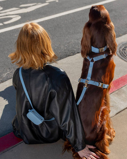 SUNNY TAILS - Malibu Blue 4-in-1 Convertible Hands Free Cloud Dog Leash - Doglicious Bakery Bites