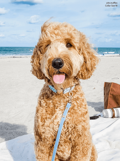 SUNNY TAILS - Malibu Blue Waterproof Cloud Dog Leash - Doglicious Bakery Bites