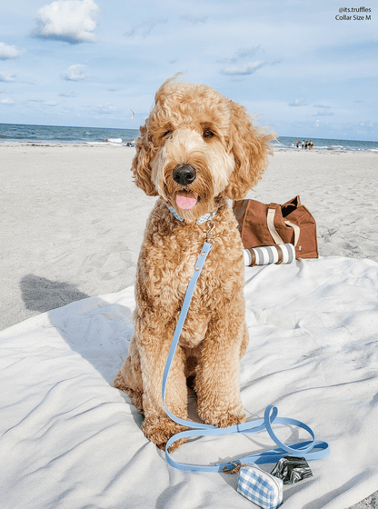 SUNNY TAILS - Malibu Blue Waterproof Cloud Dog Leash - Doglicious Bakery Bites