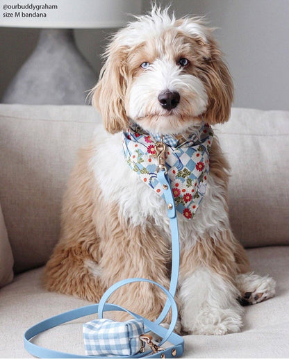 SUNNY TAILS - Malibu Blue Waterproof Cloud Dog Leash - Doglicious Bakery Bites