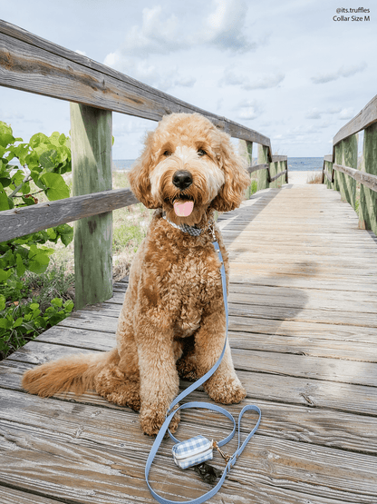 SUNNY TAILS - Malibu Blue Waterproof Cloud Dog Leash - Doglicious Bakery Bites