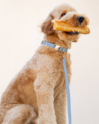 SUNNY TAILS - Malibu Blue Waterproof Dog Collar - Doglicious Bakery Bites