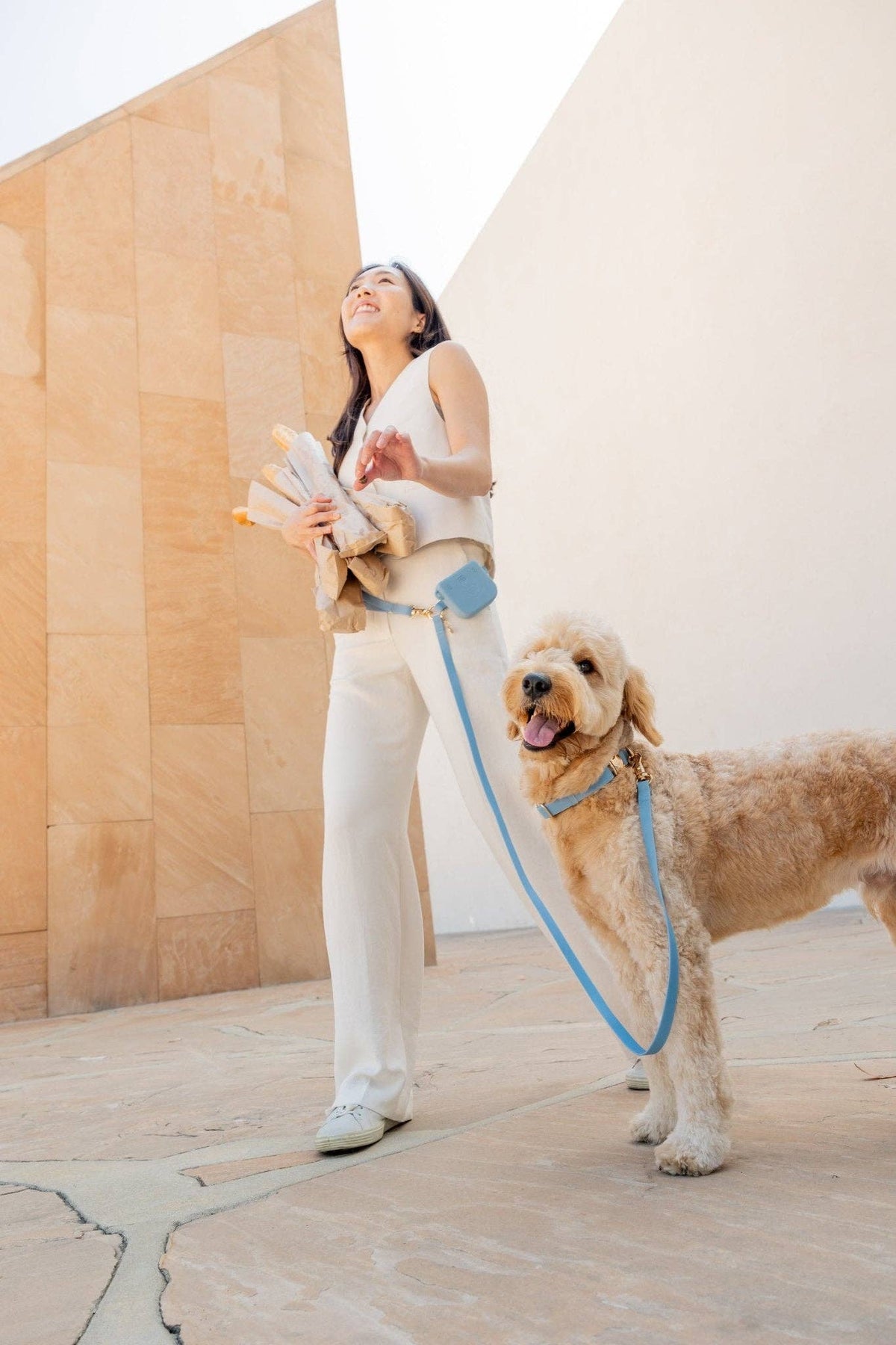 SUNNY TAILS - Malibu Blue Waterproof Dog Collar - Doglicious Bakery Bites
