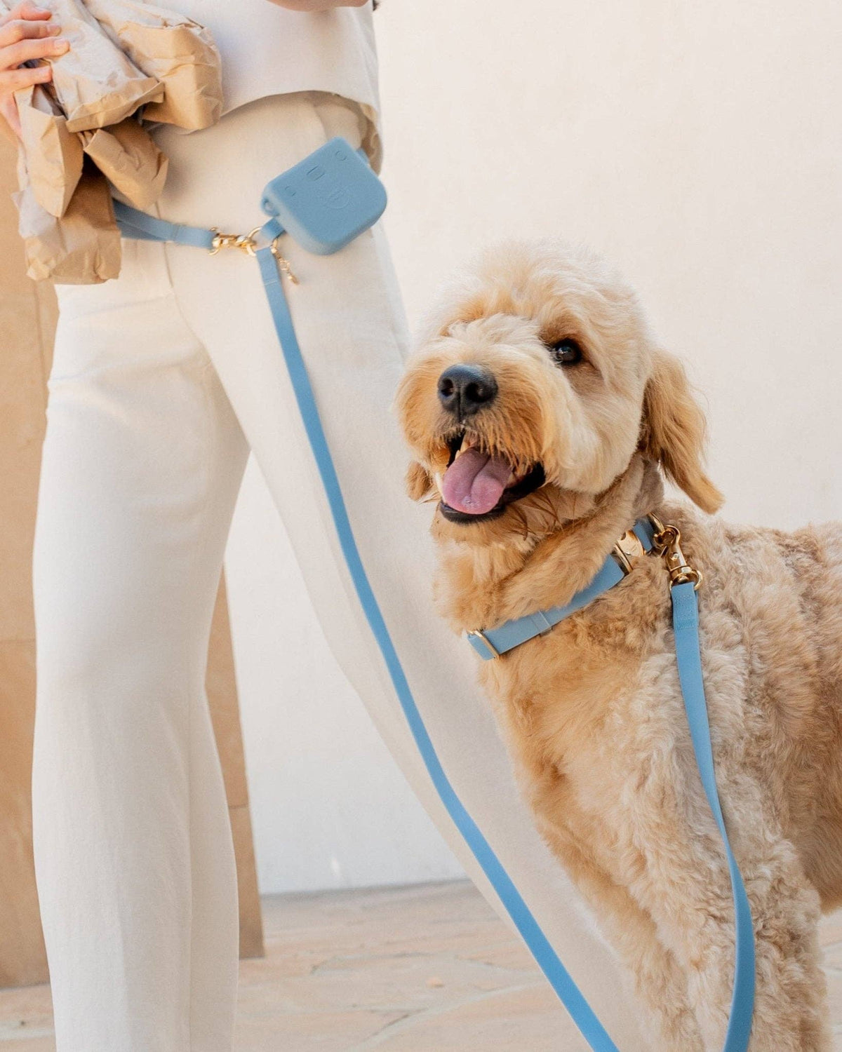 SUNNY TAILS - Malibu Blue Waterproof Dog Collar - Doglicious Bakery Bites
