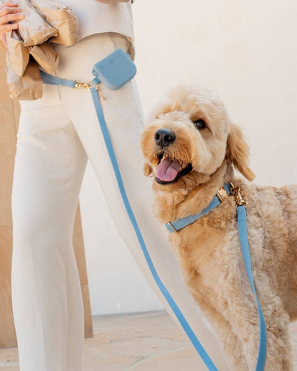 SUNNY TAILS - Malibu Blue Waterproof Dog Collar - Doglicious Bakery Bites