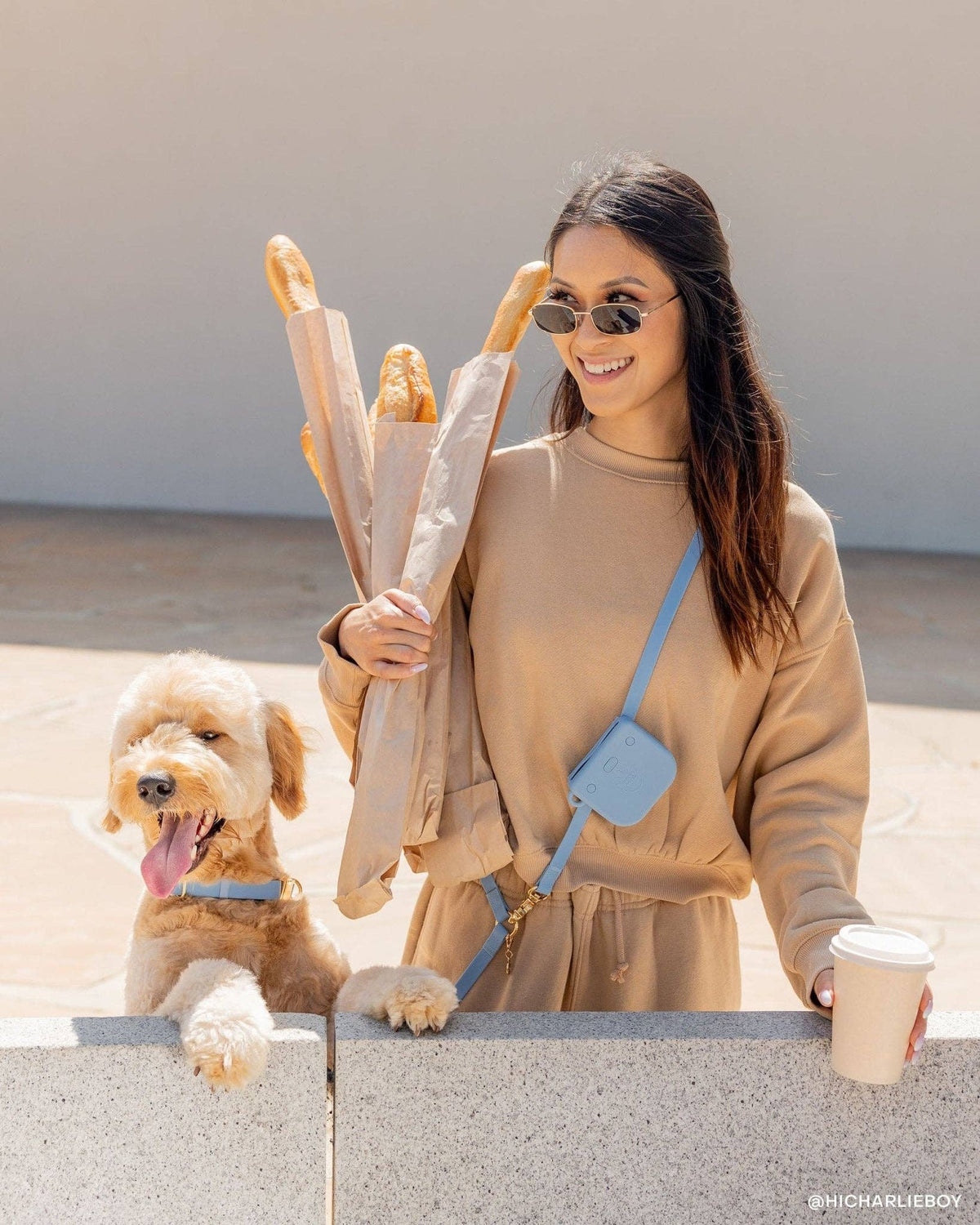 SUNNY TAILS - Malibu Blue Waterproof Dog Collar - Doglicious Bakery Bites