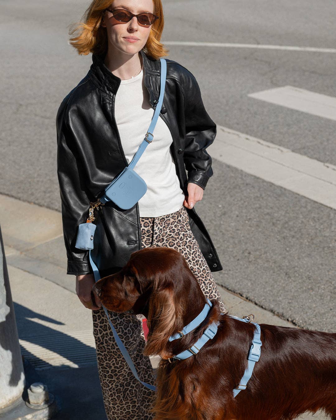 SUNNY TAILS - Malibu Blue Waterproof Dog Collar - Doglicious Bakery Bites